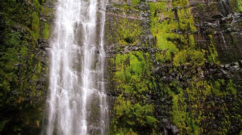 🥇 Nature Hawaii Cliffs Usa Moss Hdr Photography Waterfalls Wallpaper