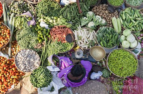 Rural Indian Vegetable Market Photograph By Tim Gainey Pixels