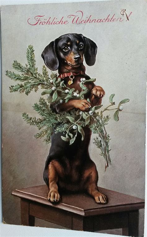 Vintage Postcard Dachshund Christmas Tree Branch 2 By Reichert
