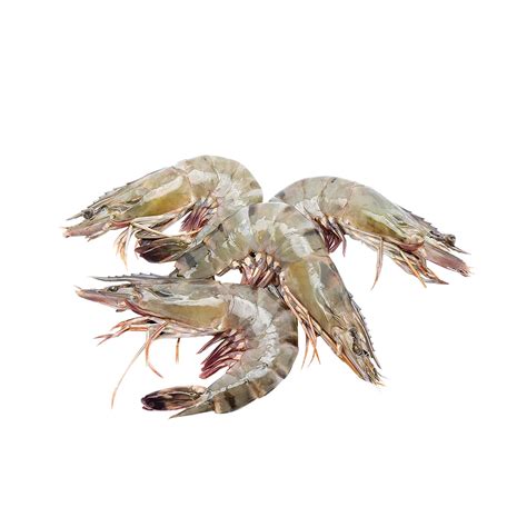 Prawns Medium Fresh Mart