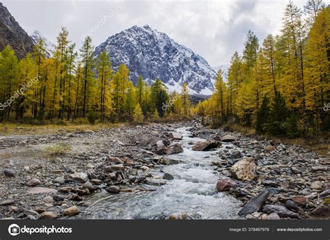 Autumn Landscape With The Aktru River And Karatash Peak Altai