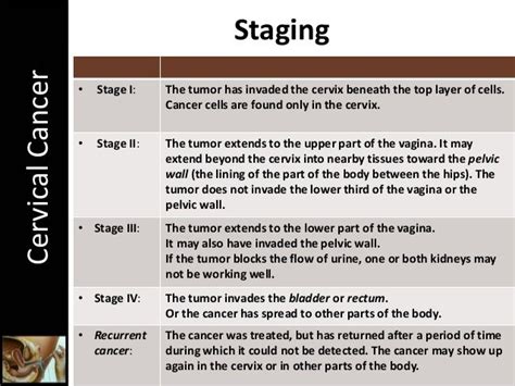 Stages Of Cervical Most Cancers Cells