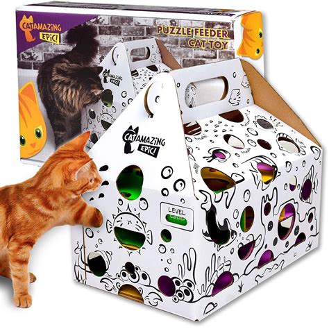 This board can be used for dry food and treats or wet food can be placed in the tongue module. AmazonSmile : Cat Amazing Epic! - Cat Puzzle Feeder ...