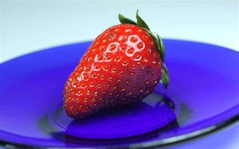 Диета блюдце результат Диета Блюдце Форум – Telegraph Диета Блюдце Форум – Telegraph Диета блюдце результат