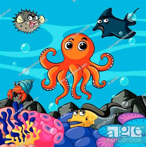 Sea Animals Living Under The Sea Illustration Stock Vector Vector And