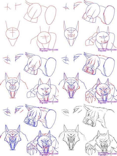 Wolf Drawing Easy Step By Step At Getdrawings Free Download