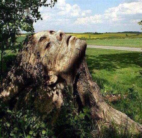 40 Exceptional Examples Of Tree Carving Art Bored Art