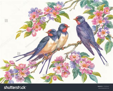 Watercolor Painting Birds Flowers Swallows On Stock
