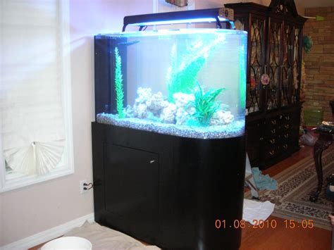 Choosing Your Aquarium Part 1 Round Aquariums Aquarium Network