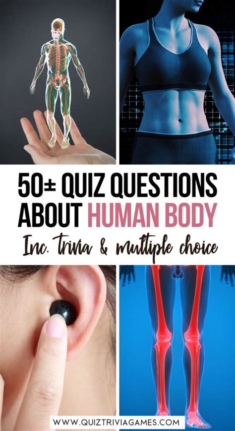 50 Human Body Quiz Questions And Answers Quiz Trivia Games