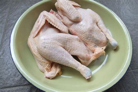 9 Tips Mengenali Daging Ayam Yang Sudah Busuk Jangan Dimakan