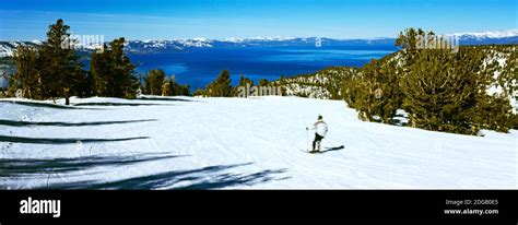 Tourist Skiing In A Ski Resort Heavenly Mountain Resort Lake Tahoe