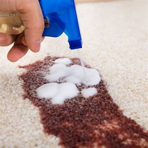Stain Removal Melbourne Pet Stain Removal Melbourne 0426 105 106