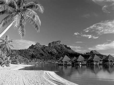 Black And White Wallpapers Black And White Beach Landscape Hd Wallpapers Pack