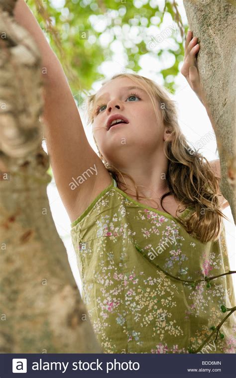 Girl Climbing A Tree Stock Photo Alamy