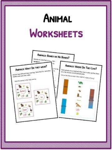 See below for the worksheet topics currently available. Butterfly Facts, Information & Worksheets For Kids ...