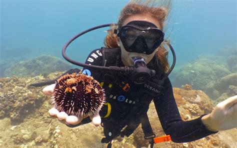 Scuba Diving Waikiki, Honolulu, Oahu, North Shore | Banzai Divers Hawaii » No Experience Dives