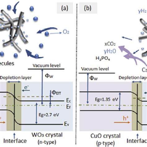 Schematic Diagram Of The Reaction Of The Composite Wo3cuo Nfs With