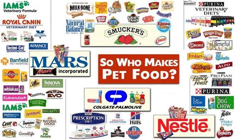So Who Makes Pet Food Infographic Holistic Pet Journal