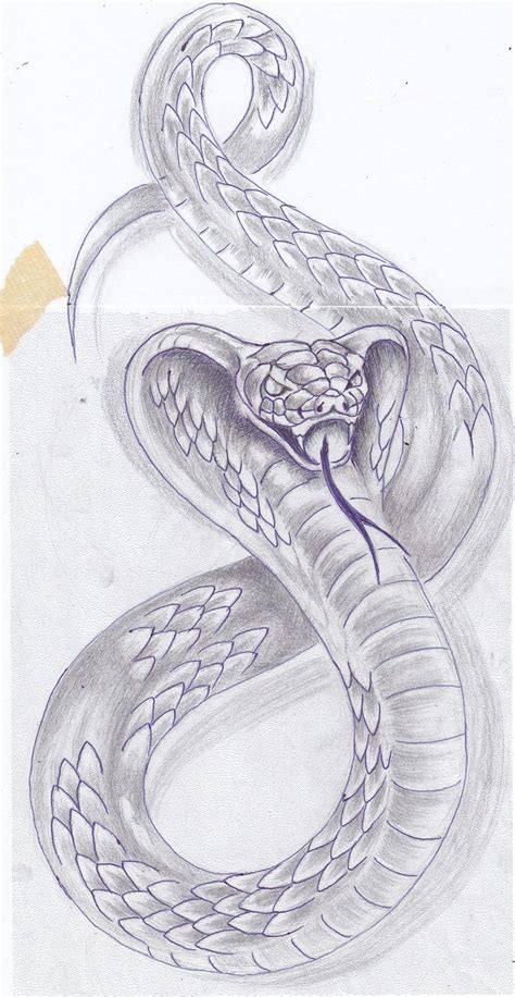 Serpiente Pro Serpent Tattoo Кобра Snake Drawing Cobra Tattoo Snake