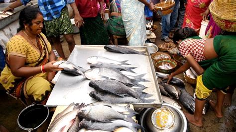 Ndia Bigeest Live Fish Market World Famous Live Fish Market