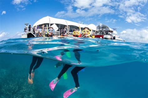 Great Barrier Reef Adventure From Cairns Inc Snorkel From Activity
