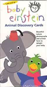 Check spelling or type a new query. Baby Einstein: Animal Discovery Cards : Beautiful Nature Photographs and Animal Facts to Delight ...