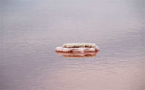 Salt Ponds In Gruissan France Stock Photo Image Of Travel Pink