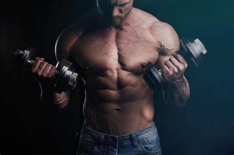 2019 Top Major 5 Muscle Building Tips For Hardgainers