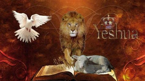 yeshua hamashiach  Yeshua+HaMashiach+Lam+van+God.jpg  Lion and lamb