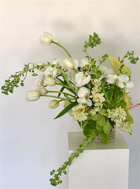 Online florists, flowers, flower delivery, arrangement, bouquet, buy now, flower. Patterson's Flowers Mail : Following a certain dialogue branch for the first time gives you the ...