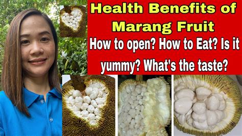 Health Benefits Of Marang Fruit How To Open How To Eat Is It Yummy