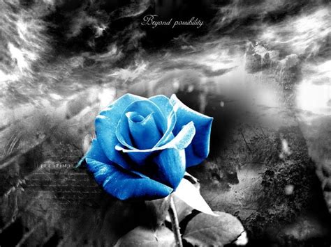 Log in to rate this theme. fond écran rose