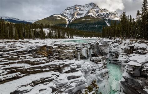 Обои по теме Athabasca Fall Jasper National Park