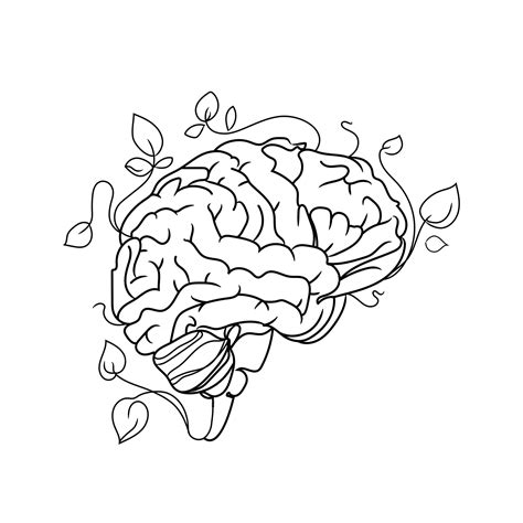 Premium Vector Human Brain Vector Line Art Illustrationabstract