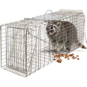 Watch the video explanation about how to catch a groundhog with a live trap!!!!! Best Groundhog Trap Reviews 2020 - Consumer Reports