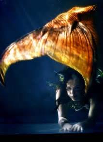 Mermaid Raven Silicone Mermaid Tails Mermaid Photos Mermaid Pictures