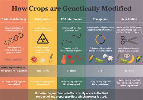 What Are Mutagenized Crops And Why They Are Not Labeled And Regulated