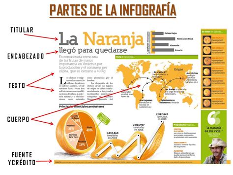 Grupo Pro Nticx ¿cuales Son Las Partes Básicas De La Infografía