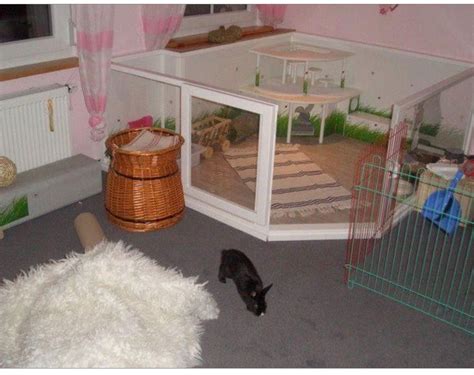 An Indoor Rabbit Playpen Ensures That Owners Can Interact With Their