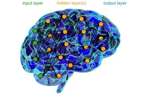 Artificial Neural Network Bccvl