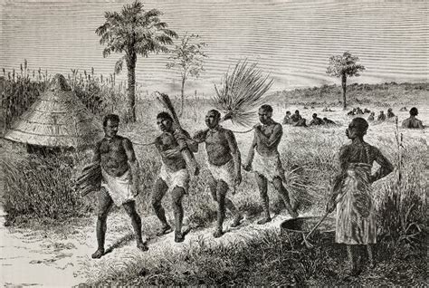 The Transatlantic Slave Trade And Its Impact Today Nicholas Idoko