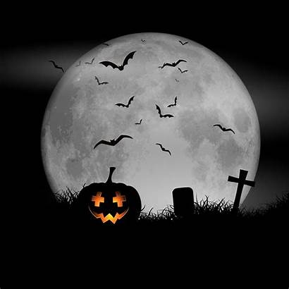 Halloween Background Vector Moon Sky Pumpkin Night