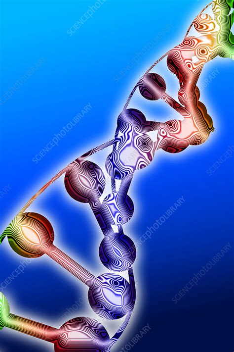 Artwork Of Dna Stock Image G1100553 Science Photo Library