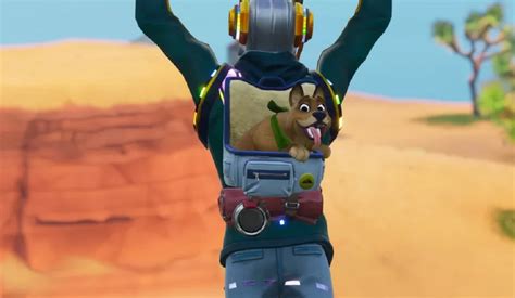 Fortnite Season 6 Brings With It Adorable Pets And It Might Be Enough