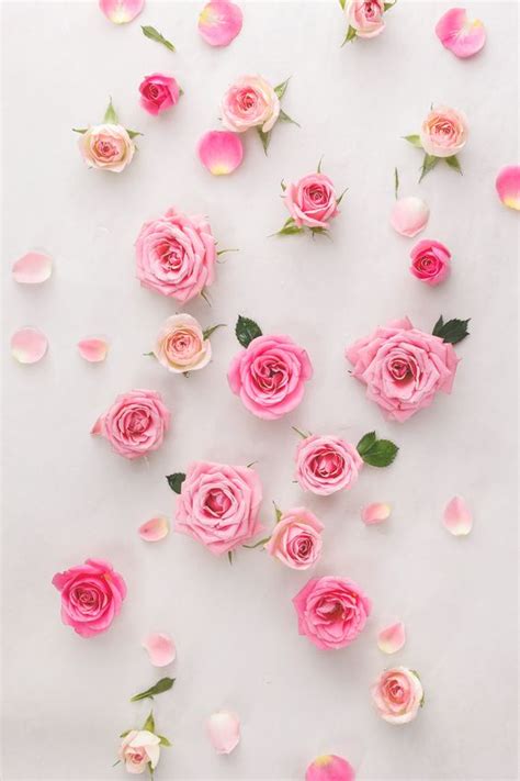 Download 70 Wallpaper Bunga Pink Hd Terbaik Background Id