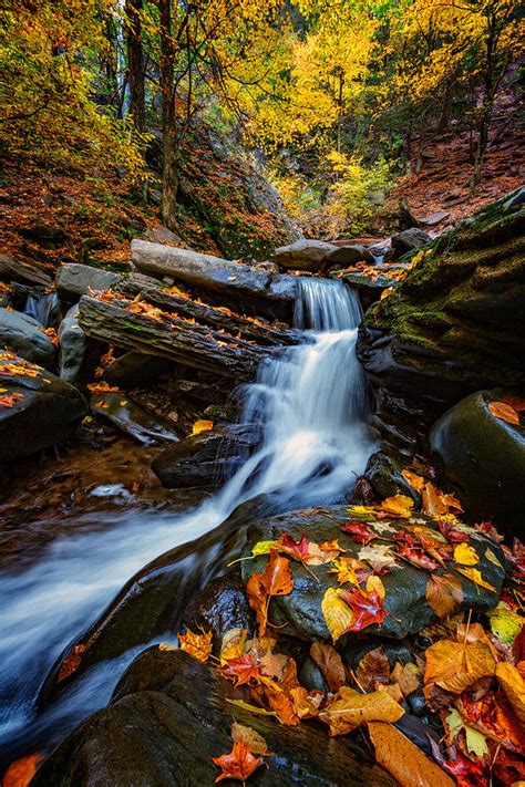 Autumn In The Catskills Photograph By Rick Berk