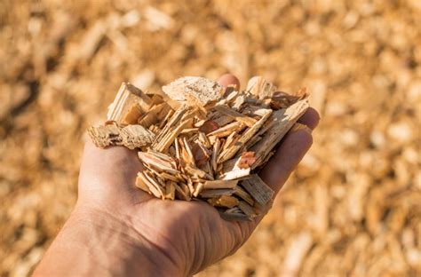 W jakim celu produkuje się biomasę