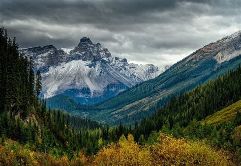 Cathedral Mountain In Yoho National Park British Columbia Canada