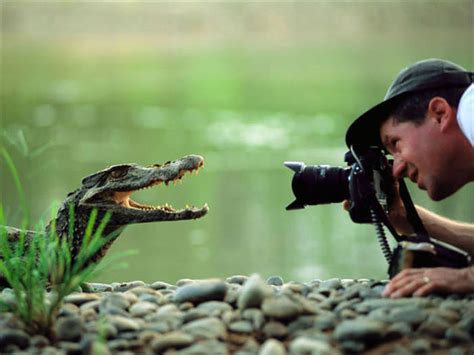Wildlife Photographers Have A Lot Of Fun On The Job 28 Pics